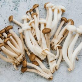 Mushrooms