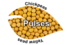 pulses