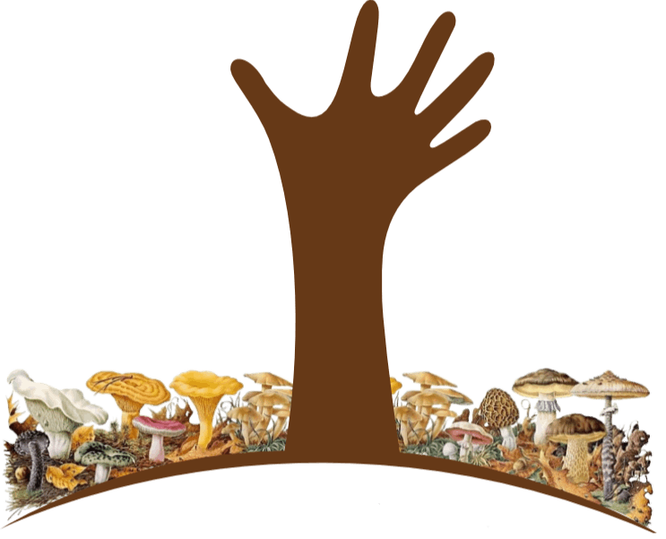 Tree Base